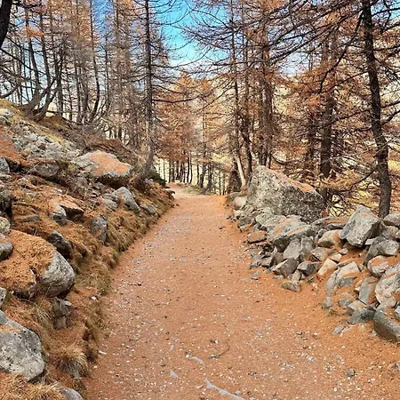 Apartment Splendide 65 M2 Superbe Vue - 2 Independantes Allos